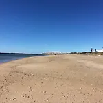 Blue Agde