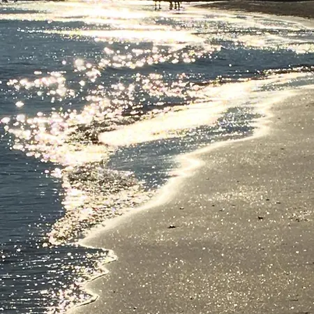 Blue Agde