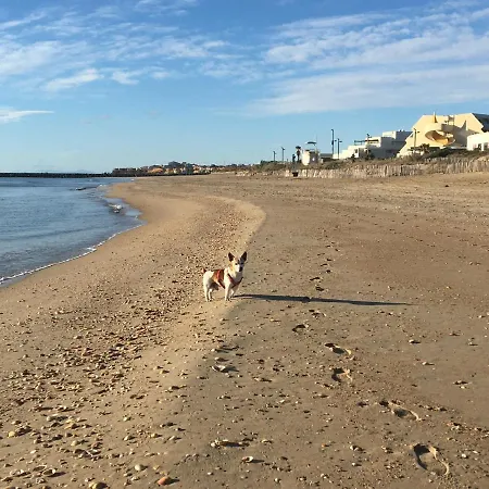 Blue Апартаменты