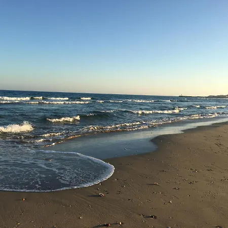 Blue Agde