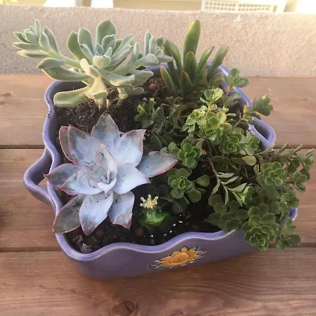 Blue Апартаменты *