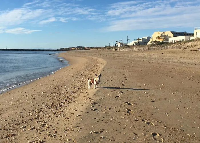 Blue Апартаменты