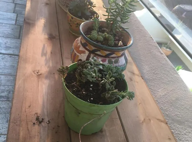 Blue Апартаменты *